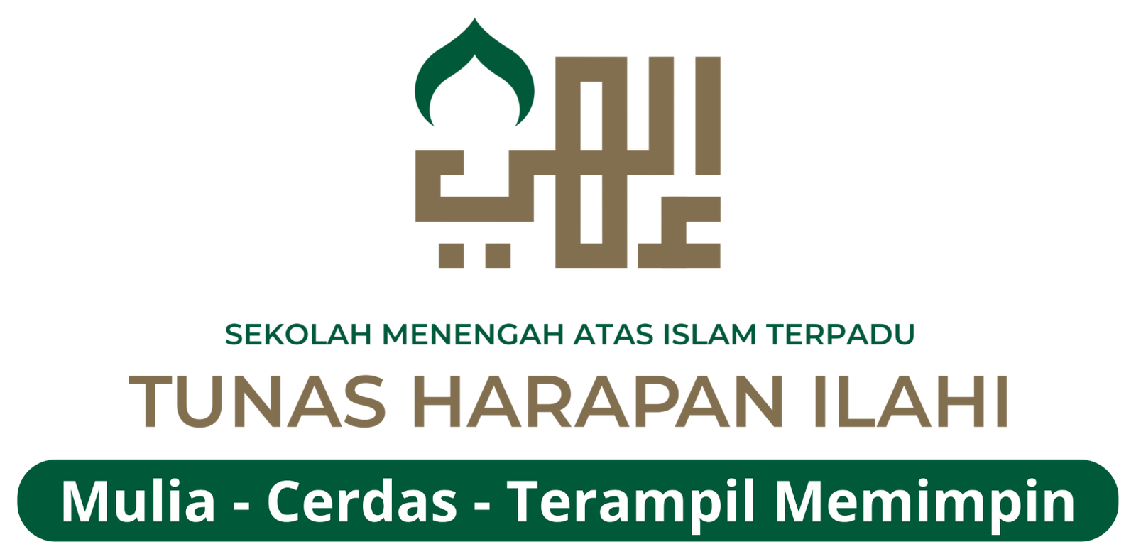 Logo SMAIT THI